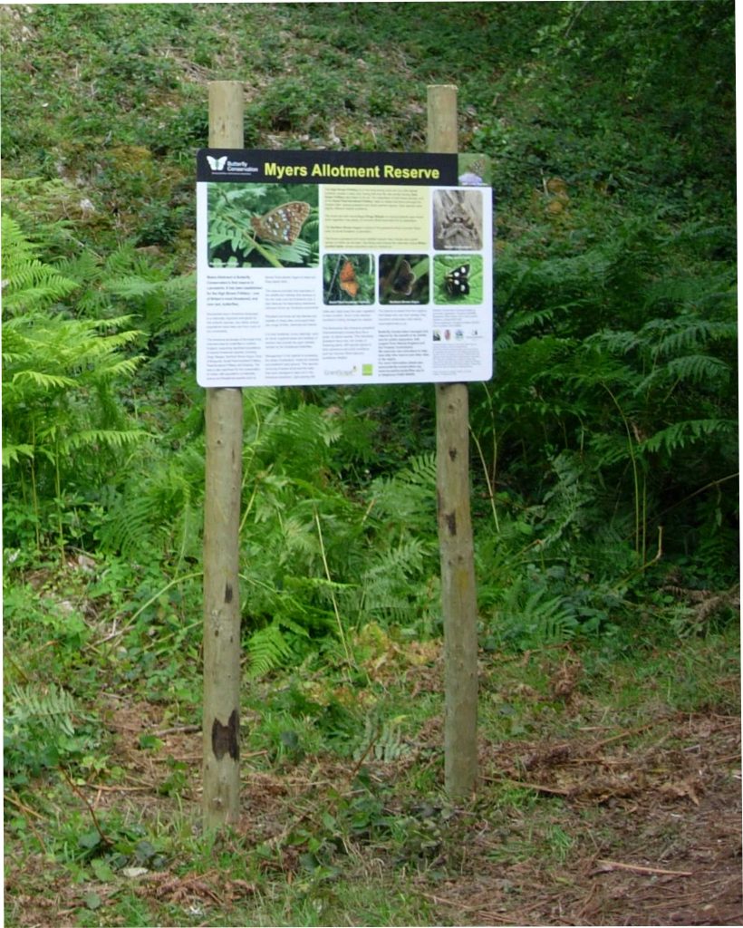 Butterfly Conservation