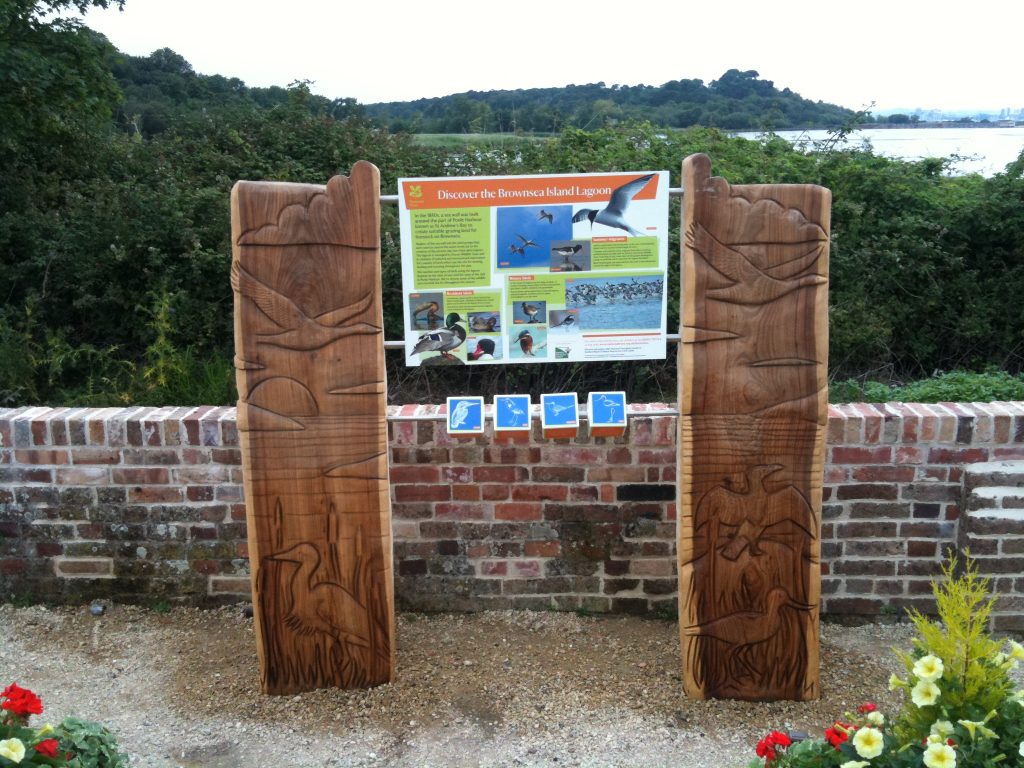 National Trust Brownsea Island Buffalo